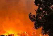 Corrientes en alerta: alto riesgo de incendios forestales y extremas condiciones climáticas
