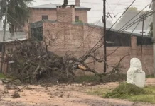 Fuerte temporal en Goya, Lavalle y San Roque: intensas lluvias y daños tras la tormenta