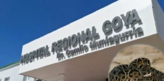 Goya: segundo ataque de yarará en una semana genera alerta y preocupación sanitaria